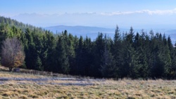 59fb9b87-731f-490f-a8c3-6743f8f96c90