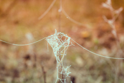 77af0943-c233-4a89-a43f-4b7dcc351052