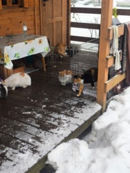 7a7c7499-25a6-4453-973c-d8e4b9851bfe