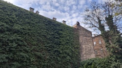 f0e58ec7-fd6a-426d-8caf-6a5a346322f3