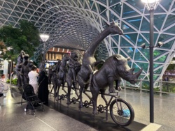 859fe7a5-e27f-47f1-903e-23faa4c22107