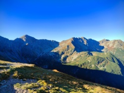 7956db23-b992-4666-bdc5-77d3af3256db