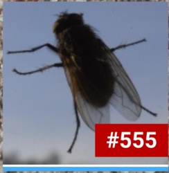 69411f91-abb9-4c07-a4bf-5b058e90edb1