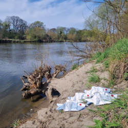 7aba8908-0e30-45a3-9f02-6085ba989687