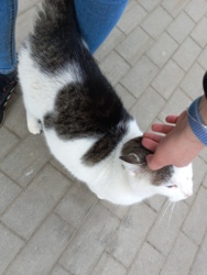 1e2e04b1-b3d1-4b3c-abc7-7c8aea7a6965