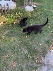 03caf3f9-0e62-48aa-90cc-171973464815