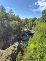 e5b29654-1aa7-4cb5-ada3-badff96f1d02