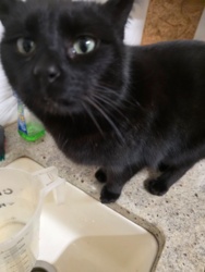 1a853610-6695-40f8-ac46-344b3581ddc8