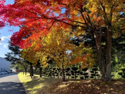 f03d98a4-284f-4179-a05e-6b69fb639649