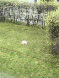 095277ac-285d-4d48-bc2a-ffad0f36dbf7