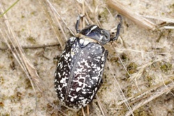 f00ba3a8-ddd6-4d3b-829b-a4f93110d437