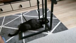 0f5eb364-f52f-42fd-affb-2d545e212ed5