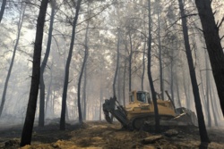 Forest fires spread across Antalya's 3 districts, prompting evacuations - Türkiye Today