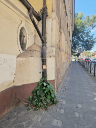 9270a491-3b0a-4266-89eb-160f7ce4e04a