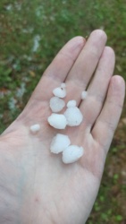 79d3ade5-fceb-4efd-8fae-808ebcce9bd4