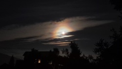 649e189b-77fd-4e44-913e-64f049540193