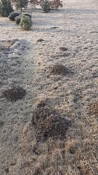 852df923-dd33-4ae3-bc22-703958c900ee