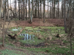 c361d8aa-bde3-4e33-b3f6-3ec713bc6784