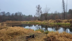 57f39c04-357c-4ebc-ad7f-3f94975c2c81