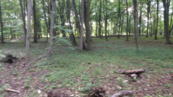 4e2ae57c-f892-4a21-ba18-41fdea040f8f