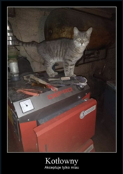 a349f065-29f1-442c-83f8-d516a4f1dfda