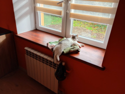 b00da0c4-9d85-4bf1-b7c0-8430dee75f32