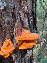 d94dc2c8-464a-43d2-add5-4575944aa3e9