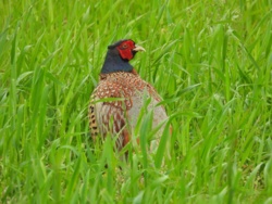 2a494373-e980-4eb0-9bb3-e6193f81cebe