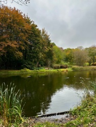 77006452-5fa7-4eed-81df-2cac3106d2ce