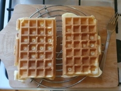 50482574-385a-492f-96b2-8bc392f5cc59