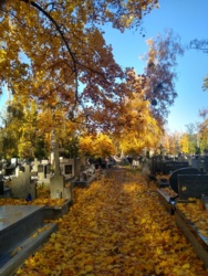 0eb7c221-4b17-464c-b2d8-1e15a53b4d31