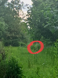 9259e6d3-c13a-4398-a891-5854c6aa3030