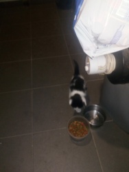 bc6c1f9c-f64b-465b-88f4-1fac3500729e