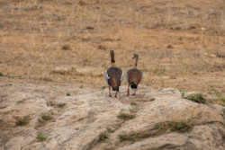 06b1969c-4bb6-4a1b-b5f2-211c8949b59c