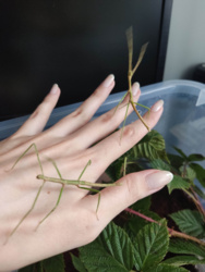 5274feab-333f-45dd-b39f-c39e64d6458f