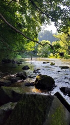 62c30ee2-77b4-4edf-b9b9-be9a6ad1571a