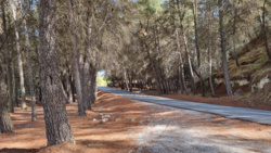 cad44277-9d35-4515-9671-27c9170b2210