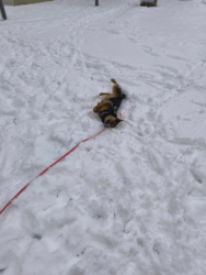 b7fa734b-4bec-4e64-aa9a-287c53bb17c8