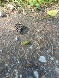 d6a12066-54a3-43fc-829e-73c35ea251eb