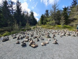 fec119b9-9982-4faa-9c95-bcdfa1b4b46e