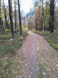 14e92305-d77d-4279-bd1d-ecbfdad88aef