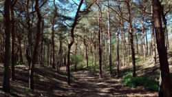 115591c9-df8d-4ed5-84d1-881177df243e