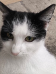 a9f3b38e-8557-4799-a601-31a0db8d65a7