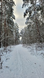 f8a6c807-6953-4e2e-9ec3-21f033419a47