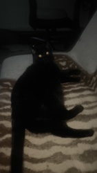 da4e9a40-e2f3-4fae-9b0b-99cccf7a992a