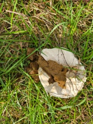 293f254b-7831-4d1f-a131-e3d53f466b48