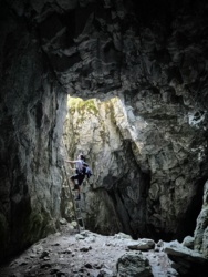 8ff363c6-0304-43ba-9f60-8b0ce73e3a55