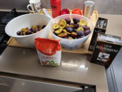 d2a980b0-0d33-46ef-8b0d-b421960d261e