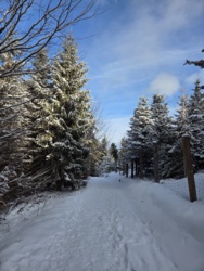 2eb0d54f-f9a9-4d4e-8ba5-a9234aba4fbd