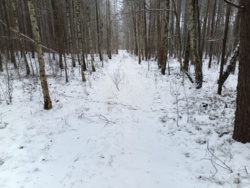 cde080e7-ef0c-4d2b-94e3-3a9808e4b845